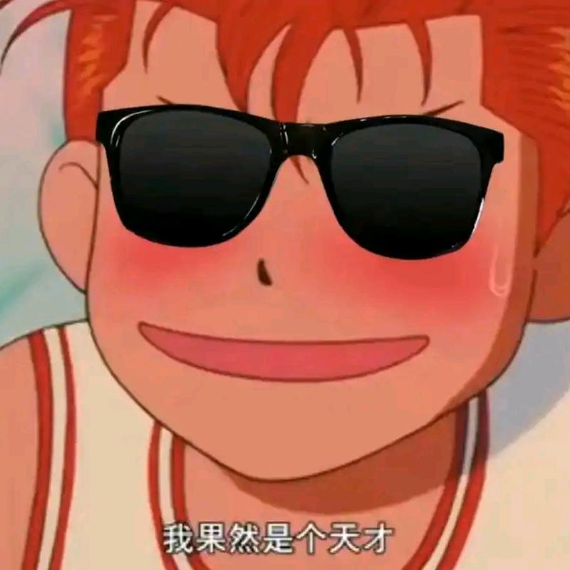 羊二来了