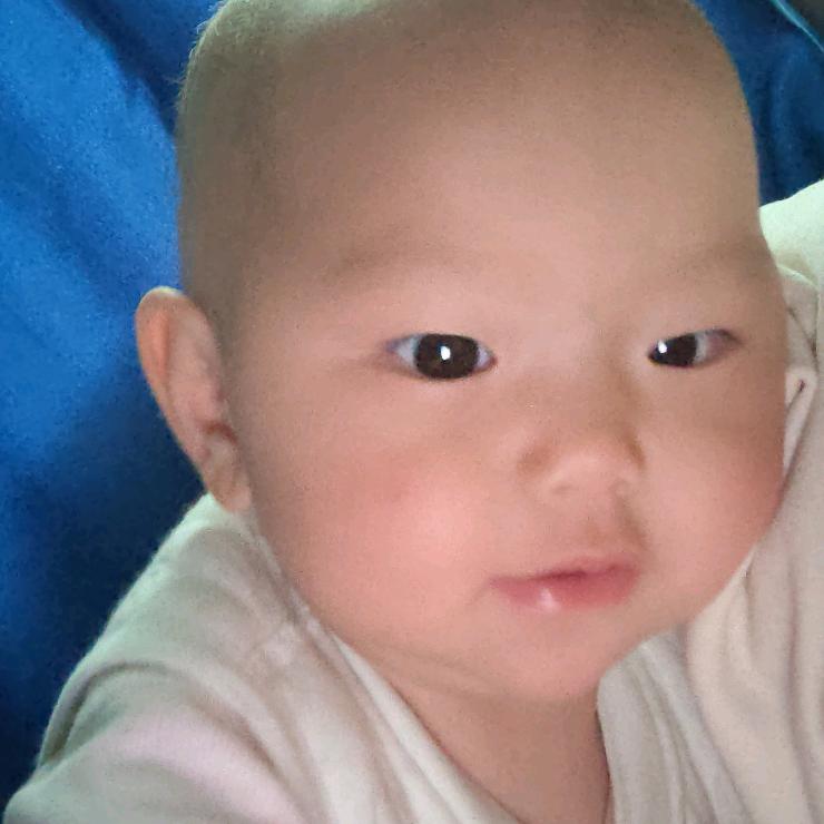 小嗪歌