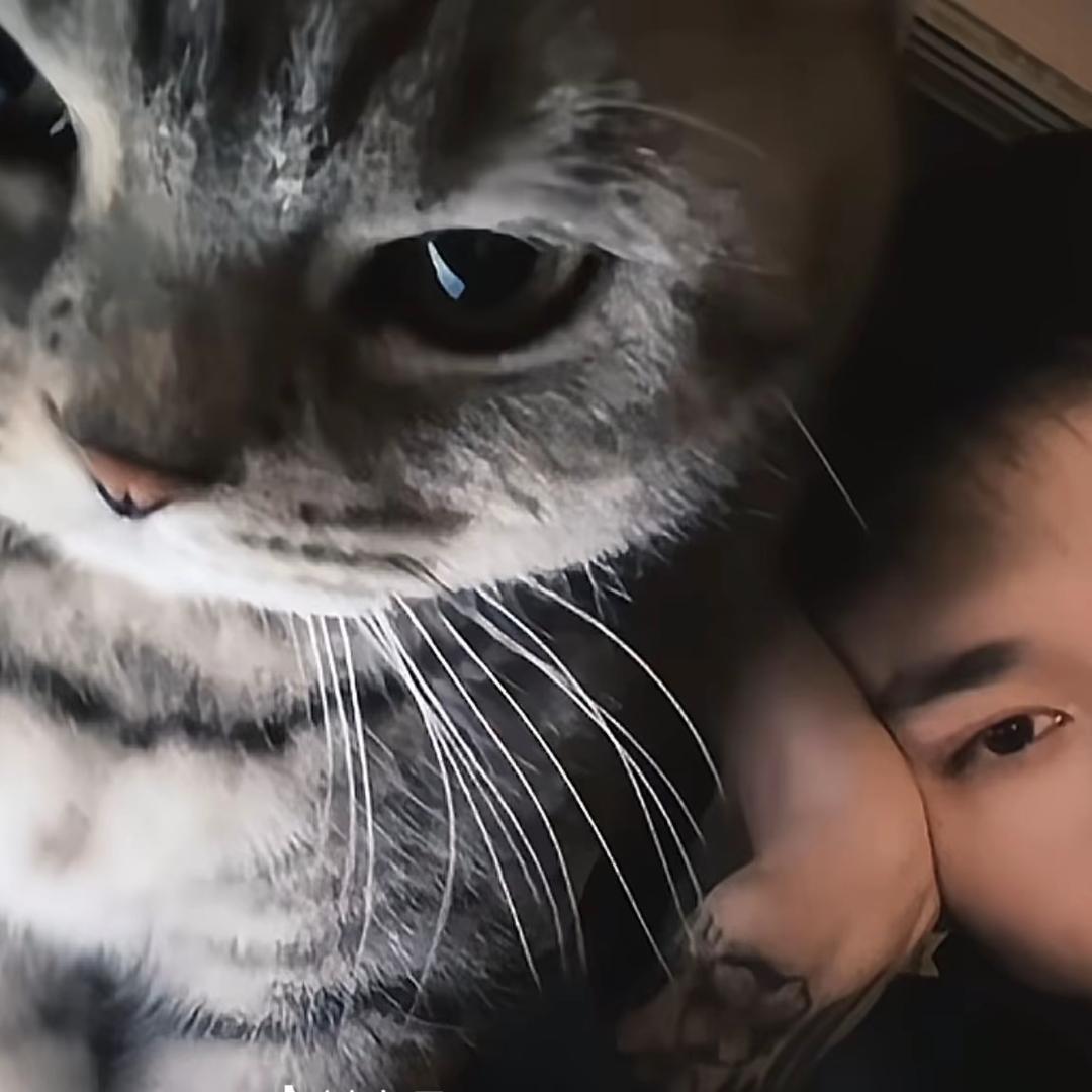 豪喜欢你