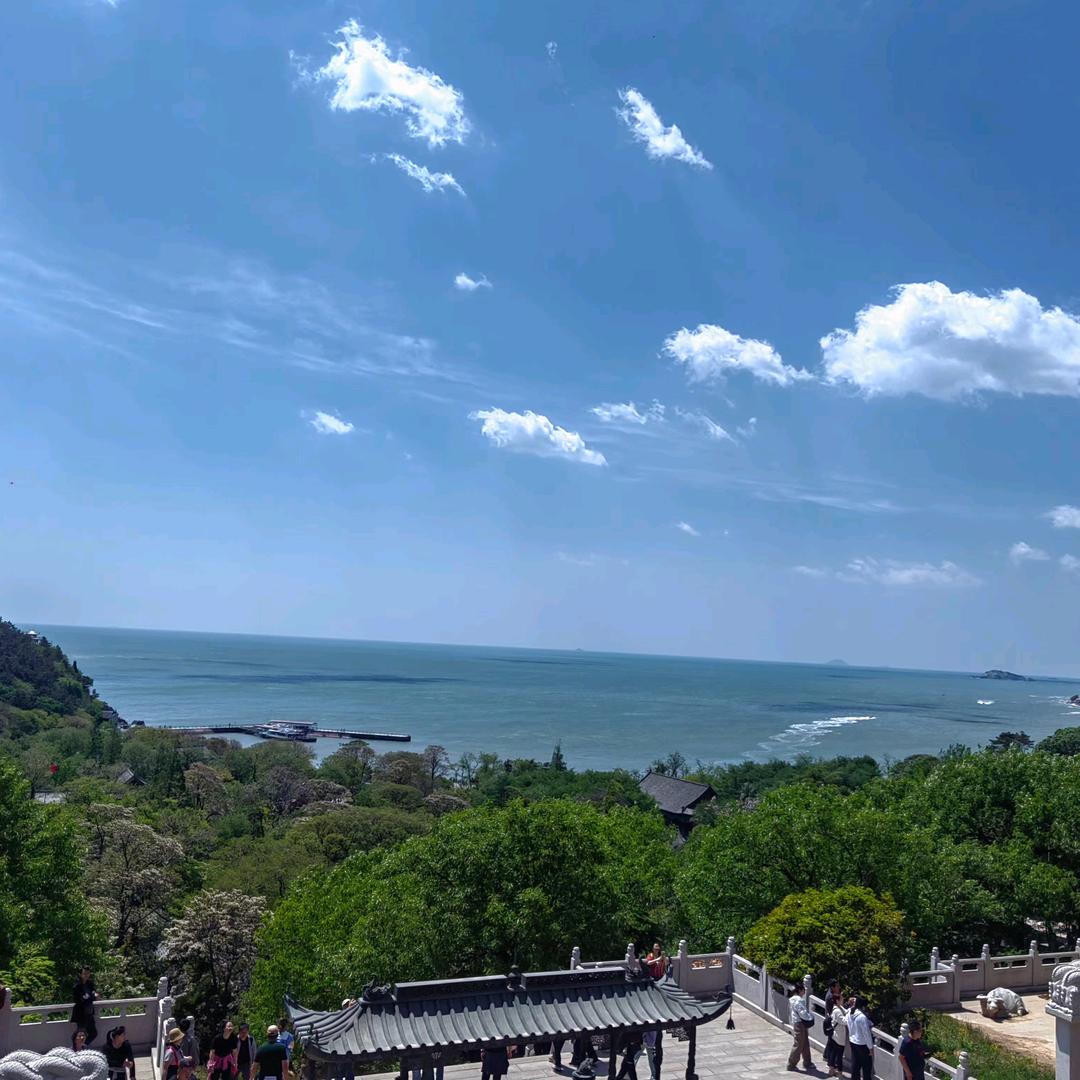显眼包子