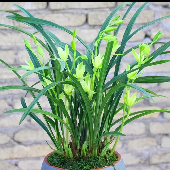 💦꧁༺๑学会坚强๑༻꧂🌈💦