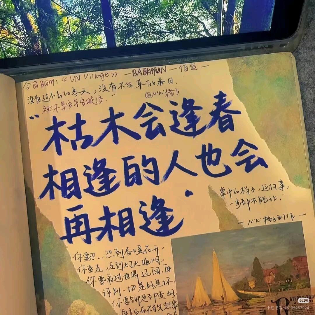 青山烟雨青衫客