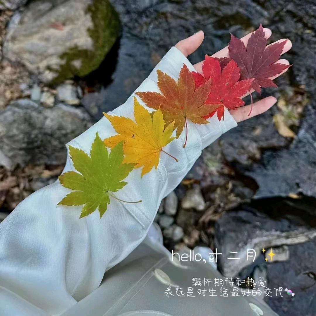 ಢ᭄岁月🍒静好