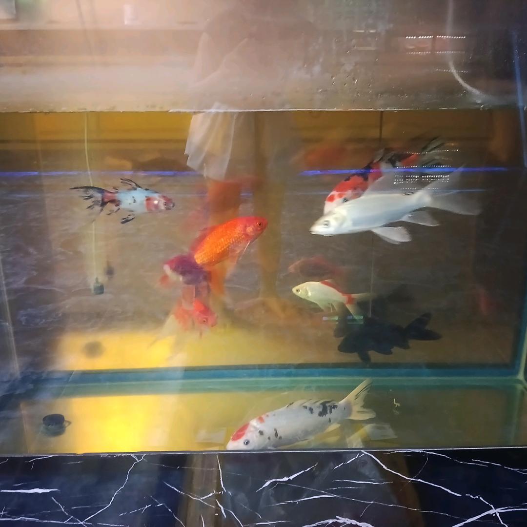 南宁养生黄瑾然