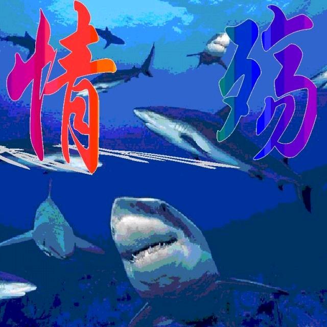 Qs电竞（三角洲红丸工作室）
