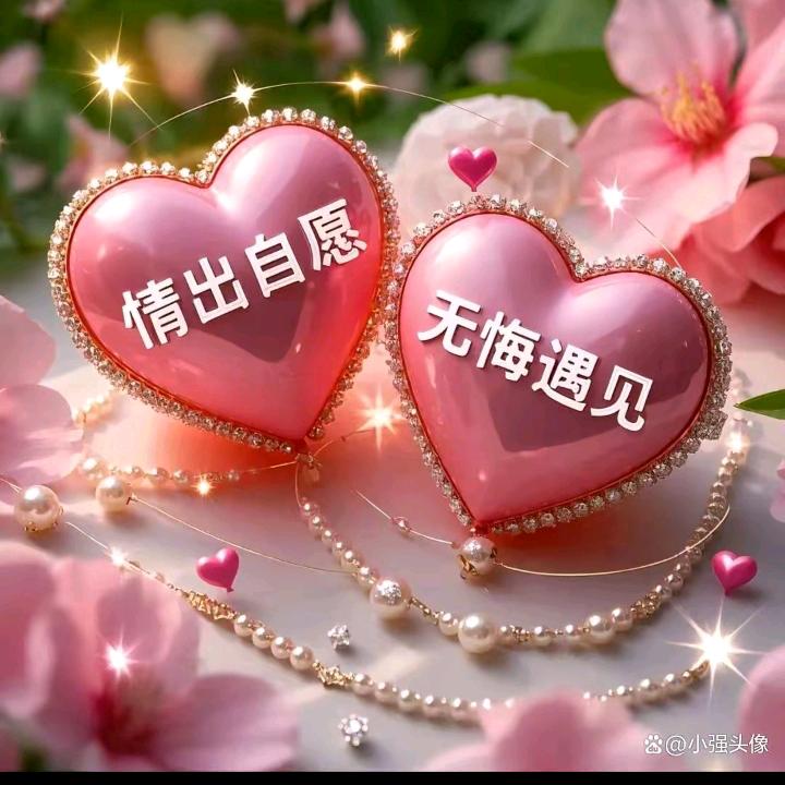 情出自愿，无悔遇见。