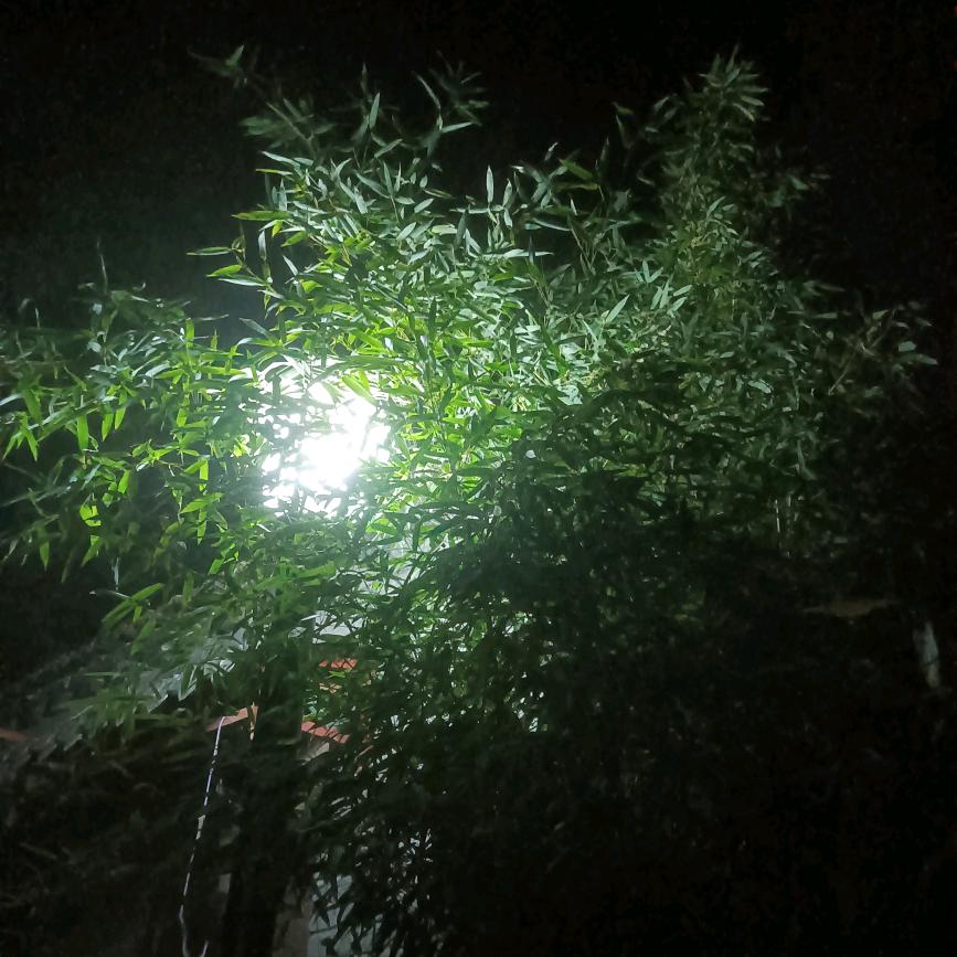 天天快乐