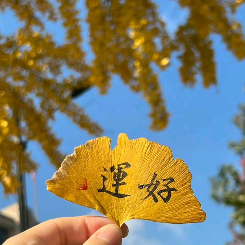富贵花开
