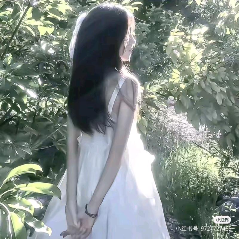 桉