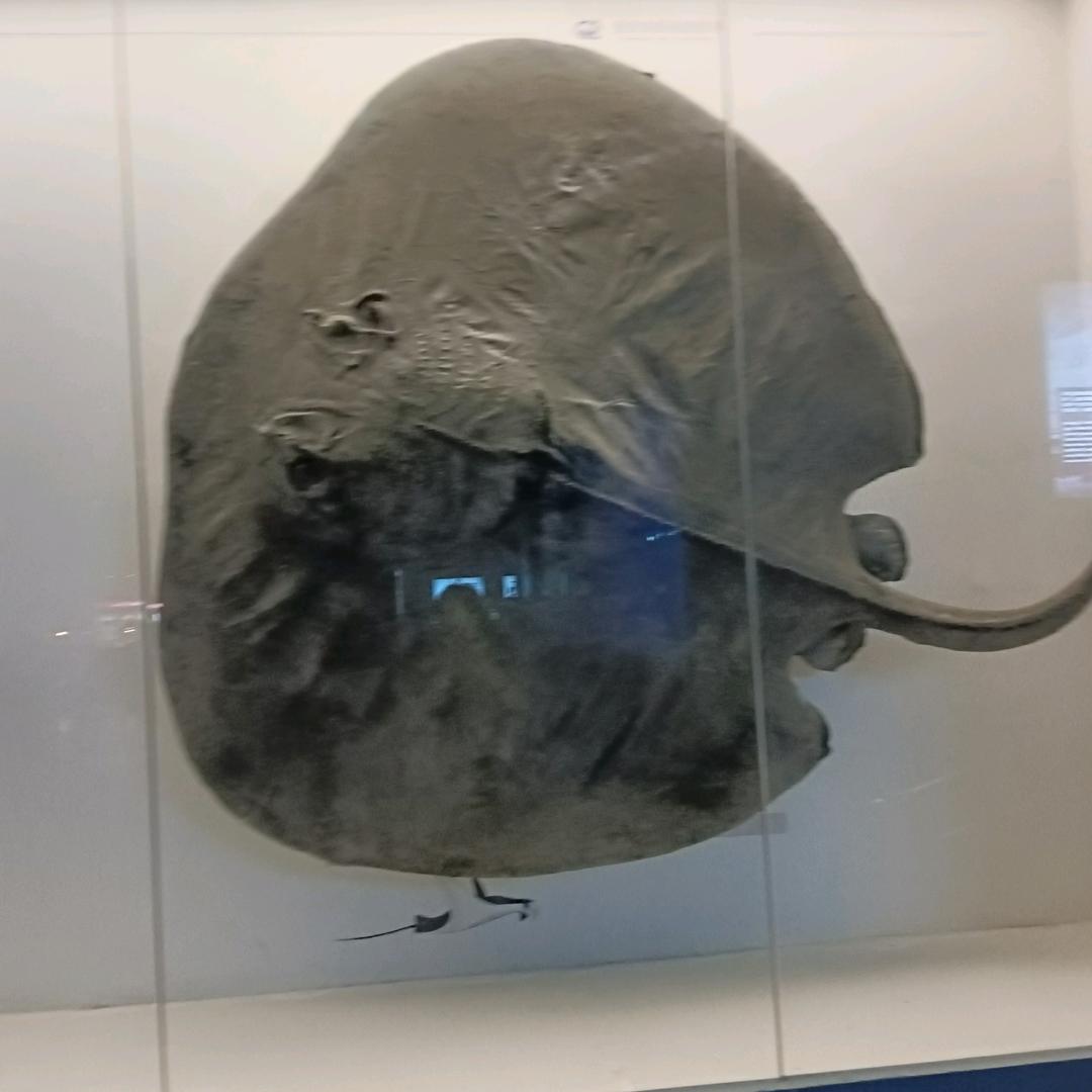 健康是福