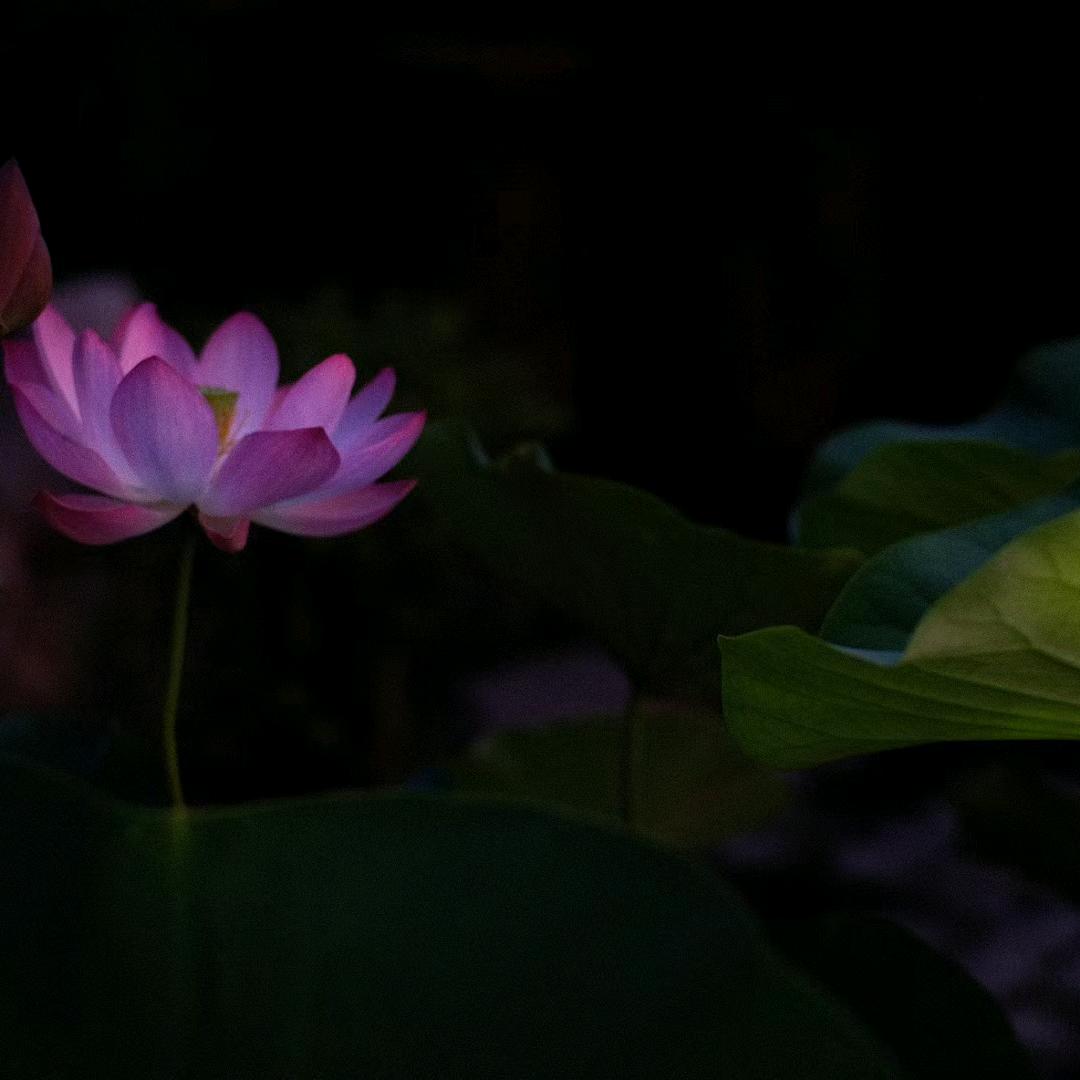 少林威豪武术馆