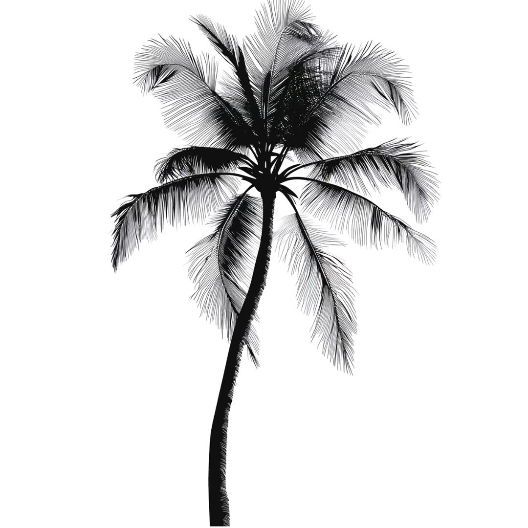 洛枳.