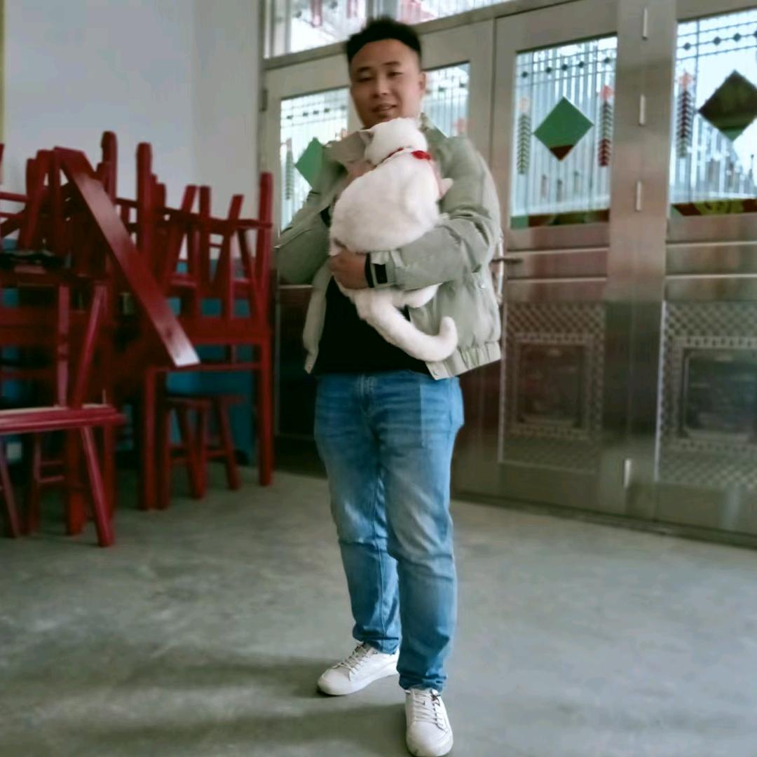 浪子四哥