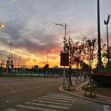 天体职体育中心万能墙（抖📡同号）