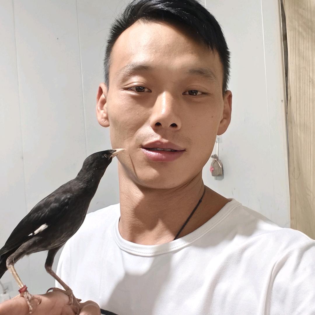 琪琪哥