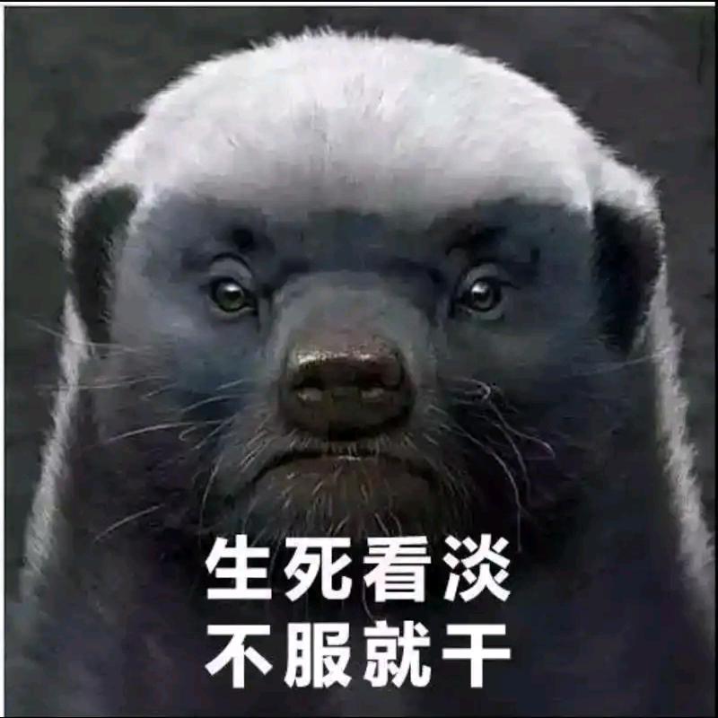 ☀️平头哥～☀️