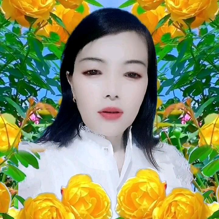 星星姐🌷