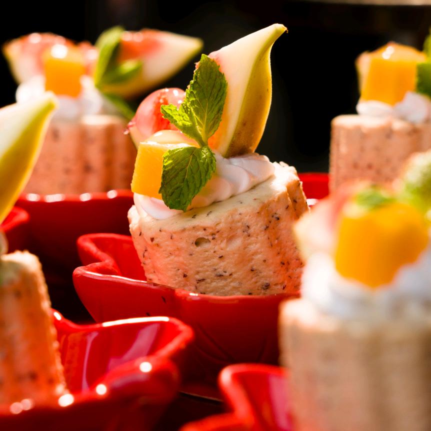 摄影龟龟（内耗版