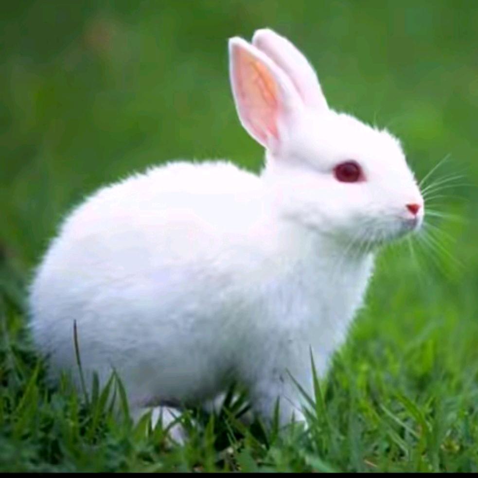 ᭄💞萍姐🍎এ᭄