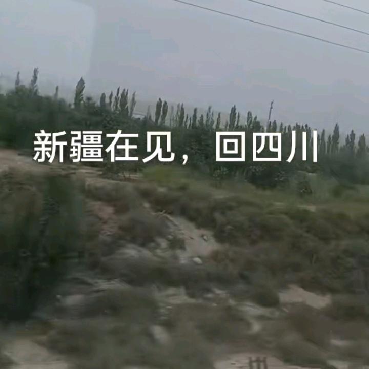 🌹🌹🌹🌹🌹🌹🌹🌹🌹💃