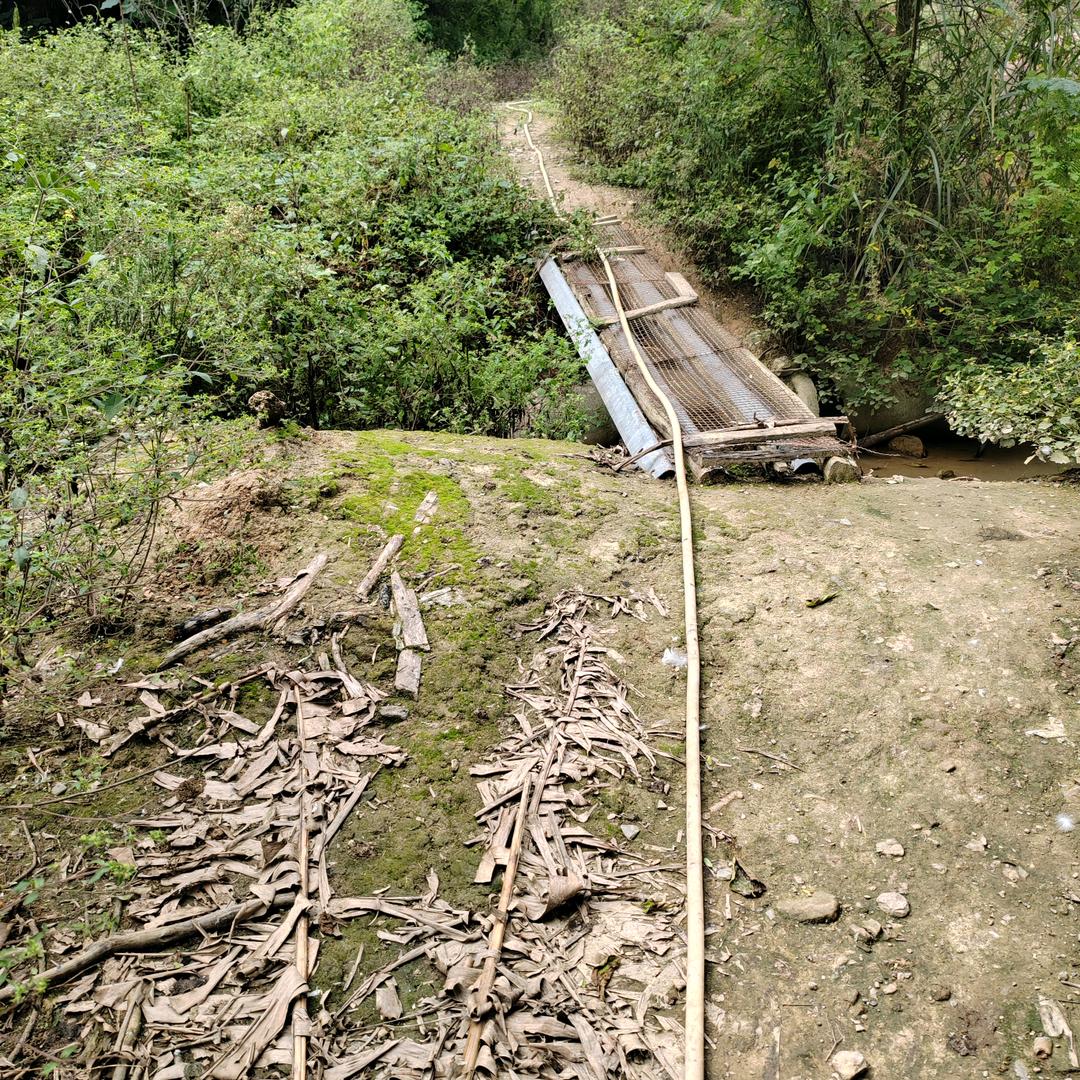 我好想回到小时候的日子，现在的我回不去