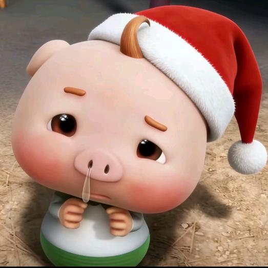 小歆💤