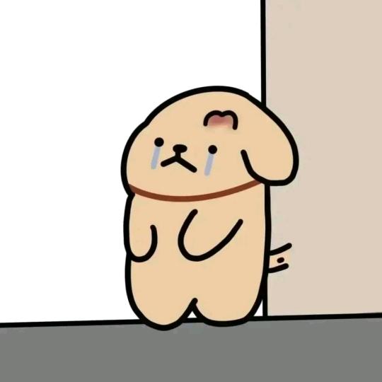 肥嘟小野猪🐷