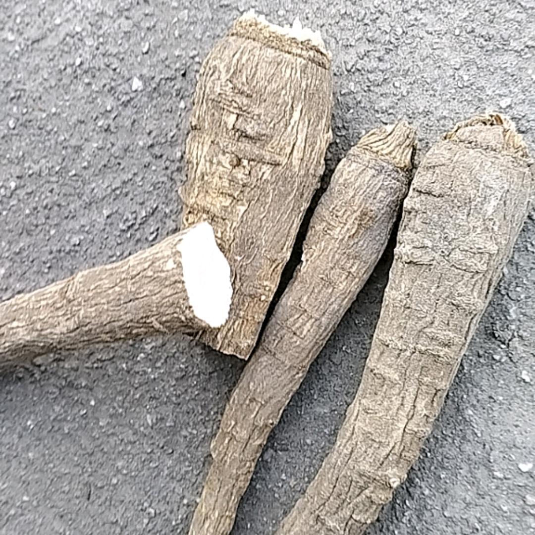 周口中药专业白芷白术防风丹参