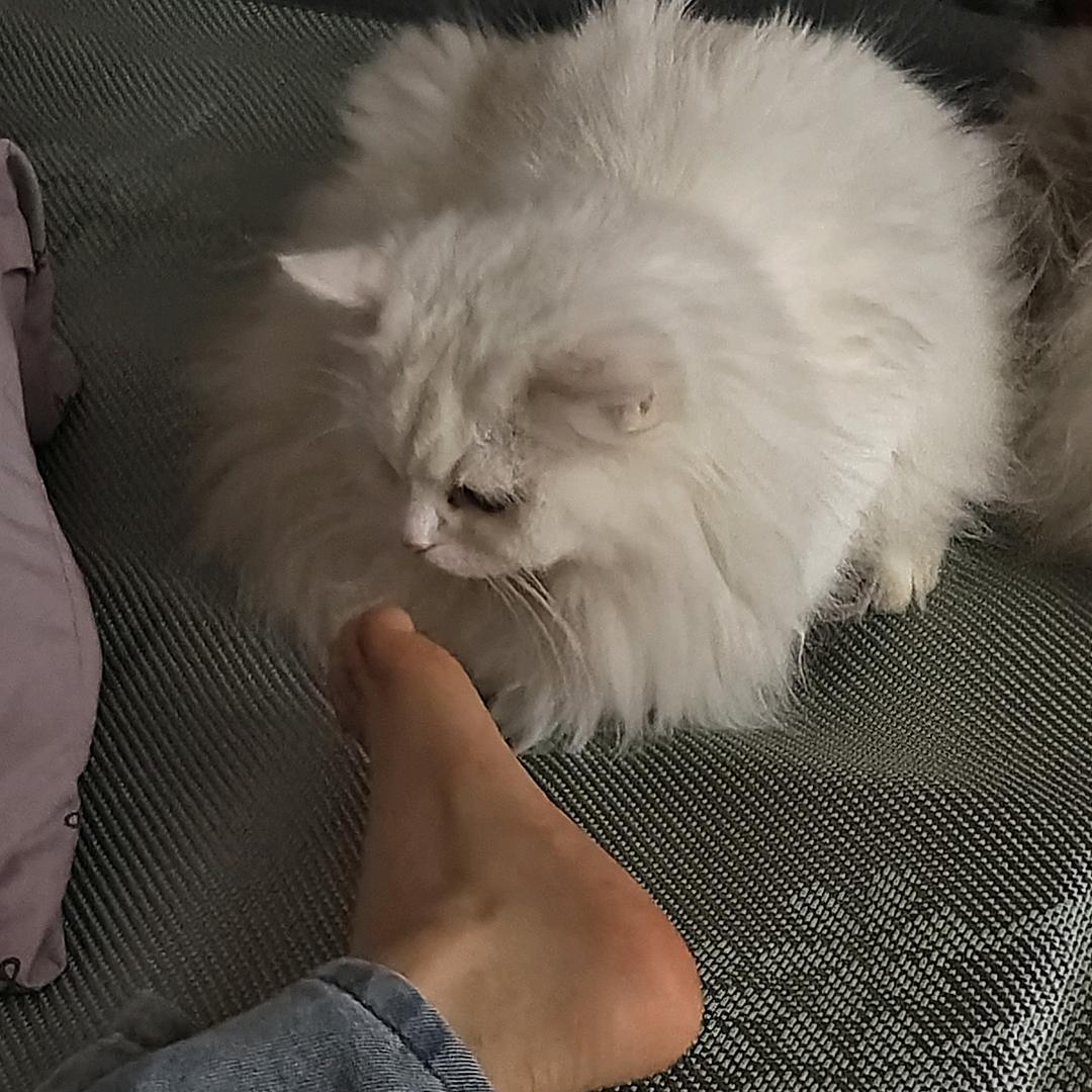 许多年