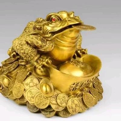 桐顺的小单丛茶叶