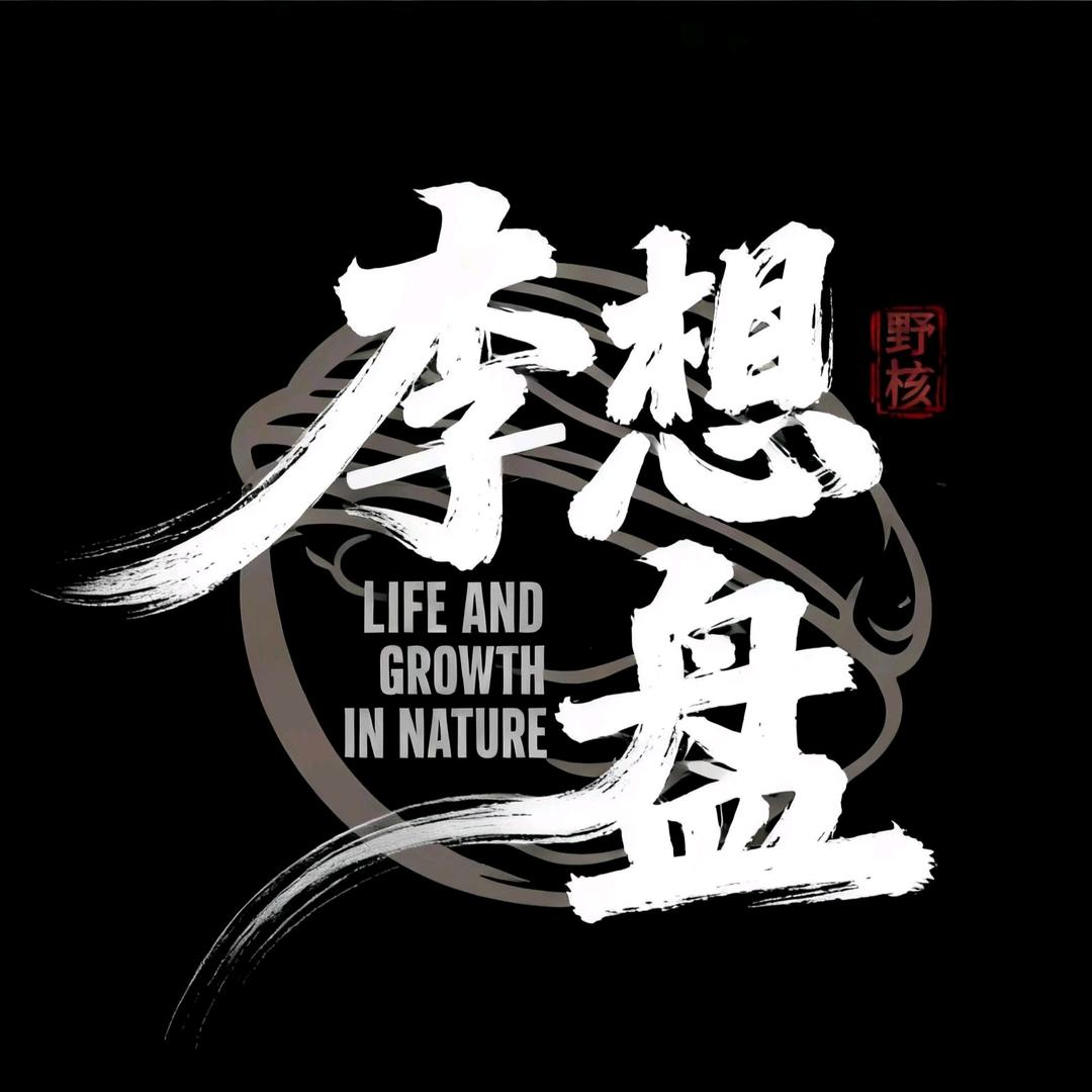 李想盘（玩家联盟）