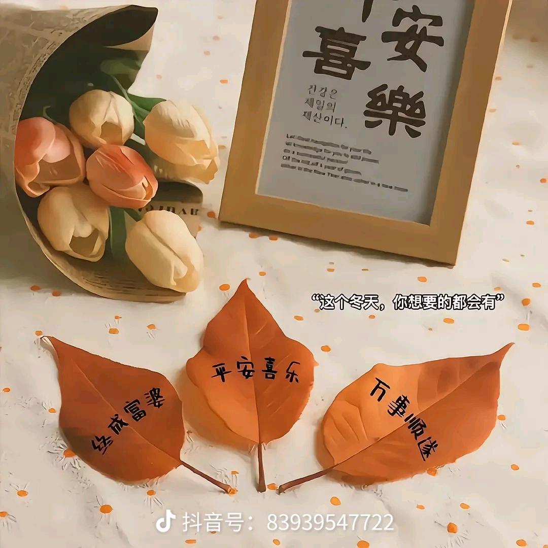 ༊: : ღ᭄兜兜🈶米