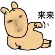 海师大小能学姐