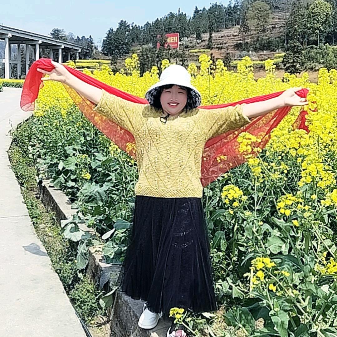 小菊