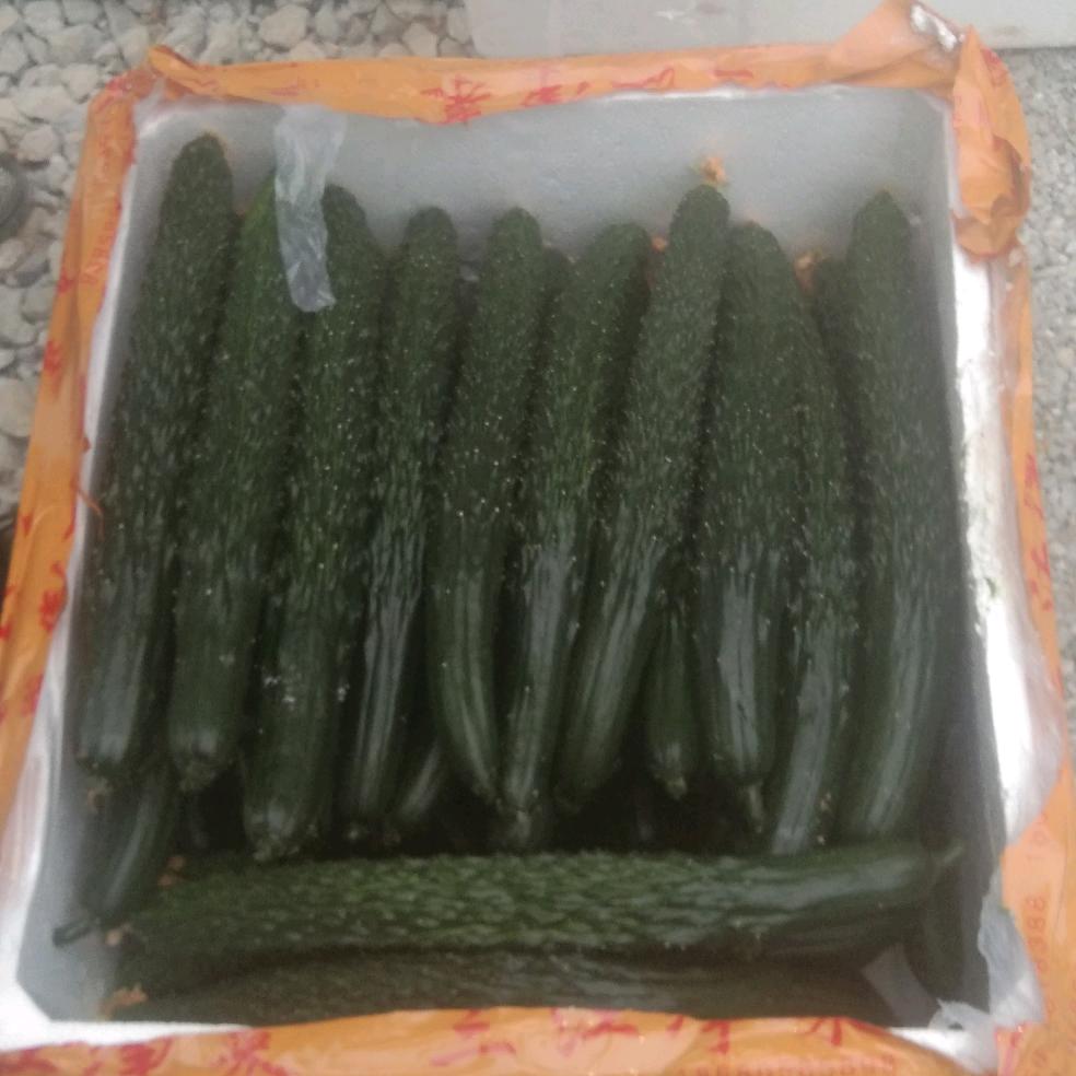 岁月无情