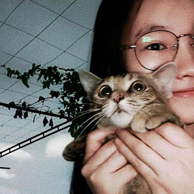 周周周周周+（啰嗦版）