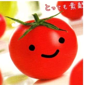 凶柿