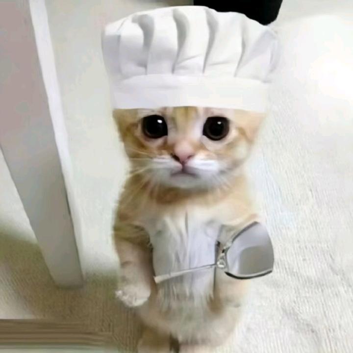 秋葵葵