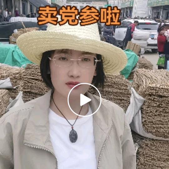 甘肃党参妹