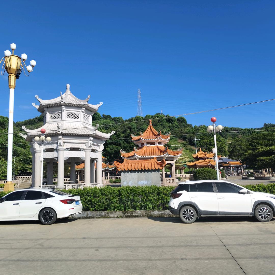 老陶