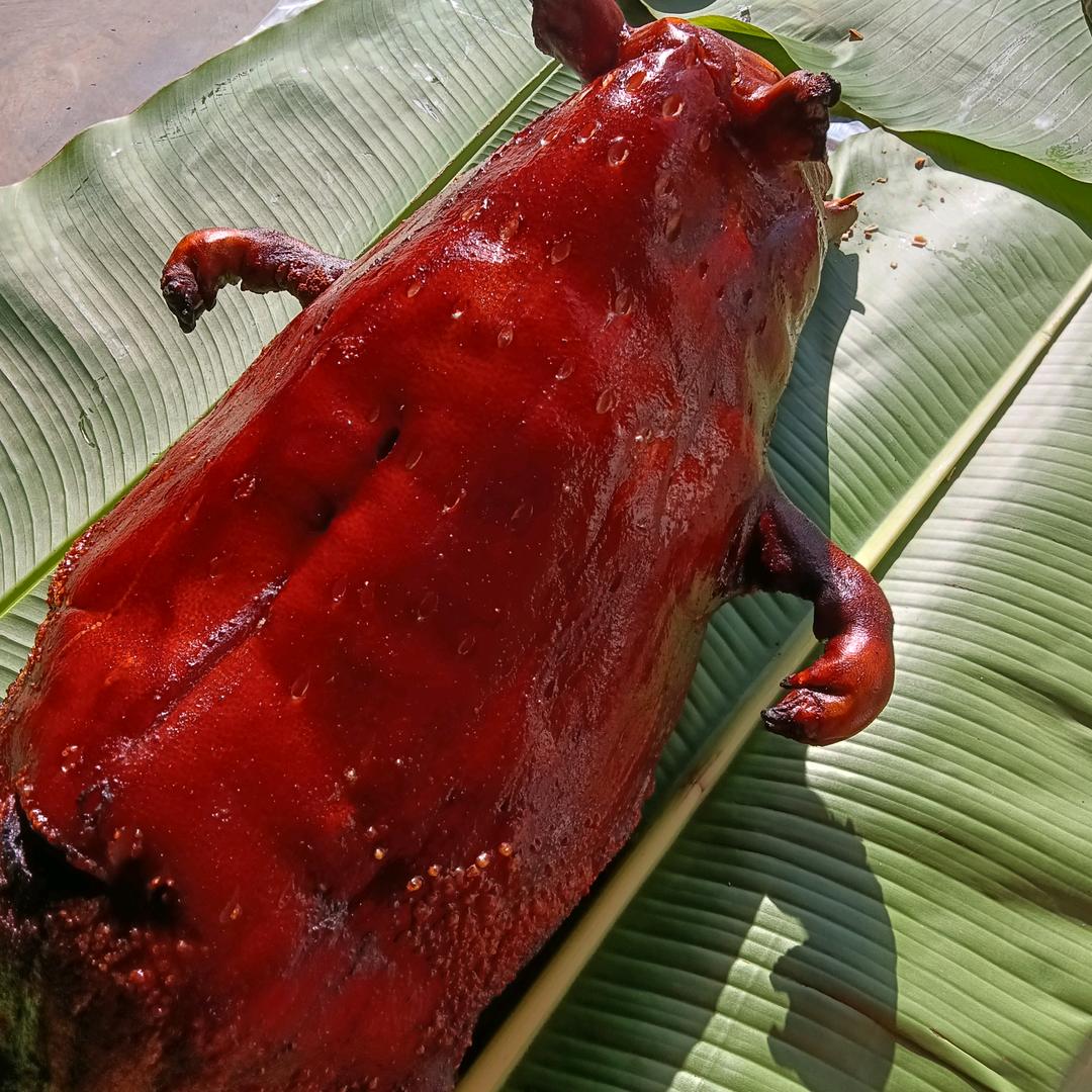 镇沅县恩乐镇复兴文拱梁三农庄