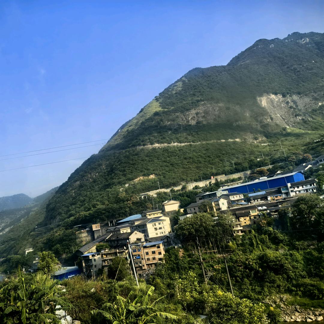 怡和轩商行授权1号