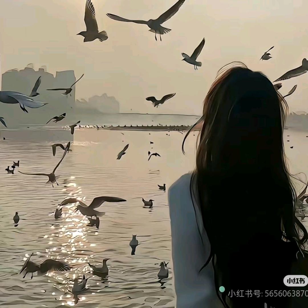 柯柯