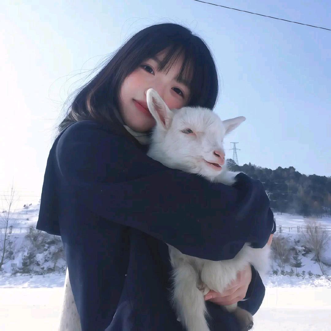 冬日小羊