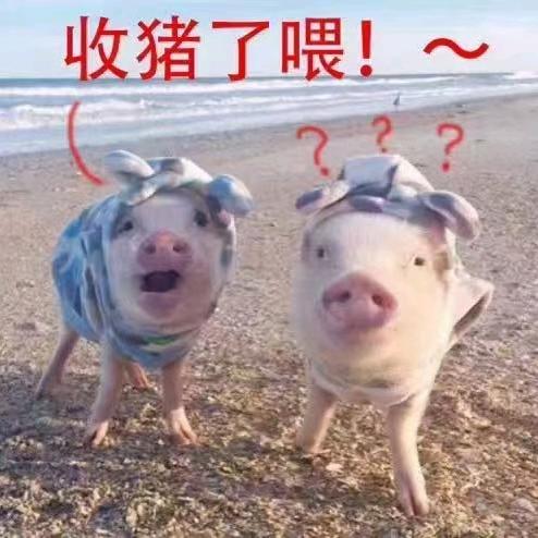 四仔用户13876690283