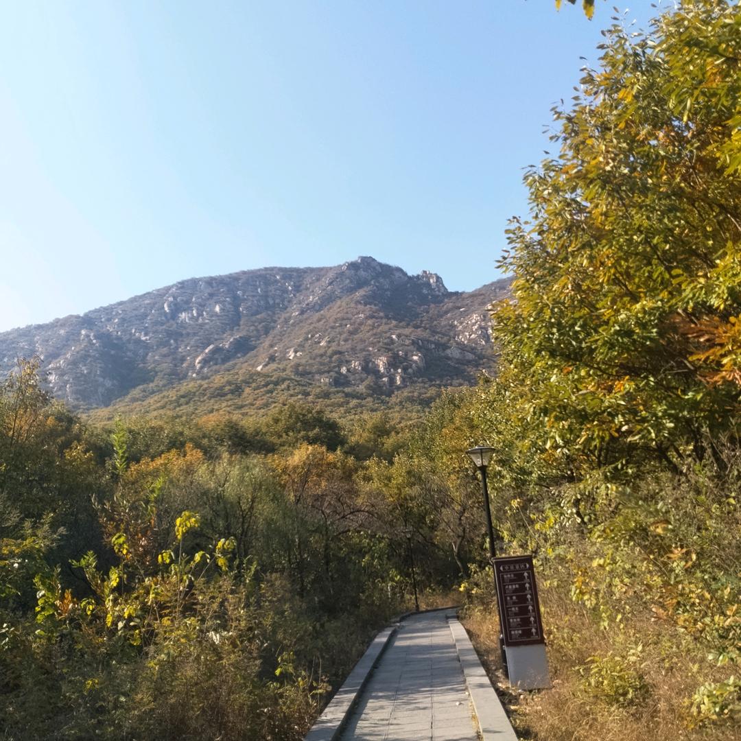 ✨看淡…一切᭄