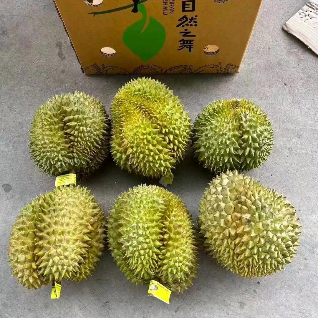 泰国皇家集团有限公司