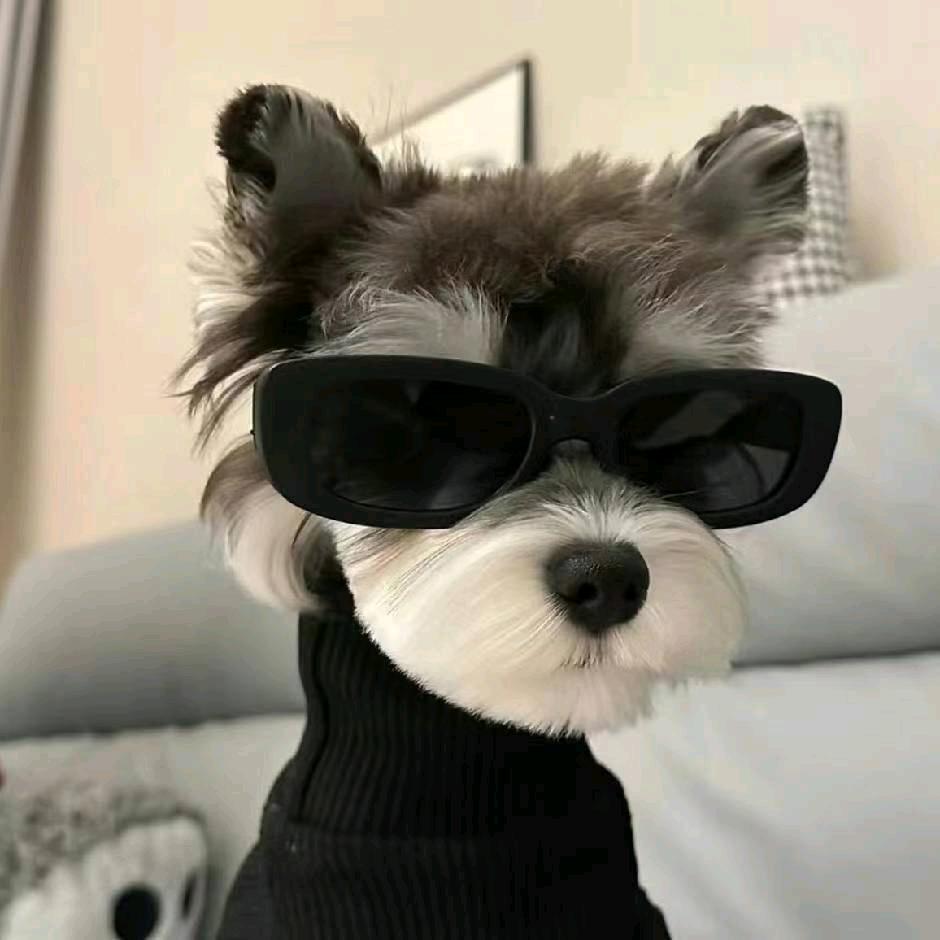 牛马人