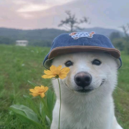Xun