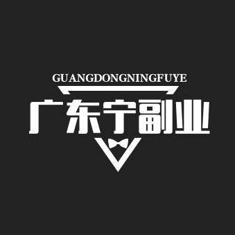 广东宁富业圈¹